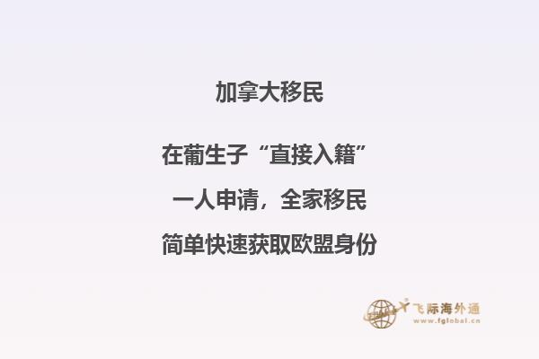 加拿大聯(lián)邦技術(shù)移民費(fèi)用！與投資移民相比，竟然這要這么點(diǎn)！