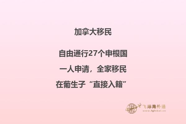 移民加拿大失敗原因，不要再犯這些錯誤了！