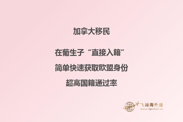 加拿大魁省投資移民適合哪些人，申請周期要多久？