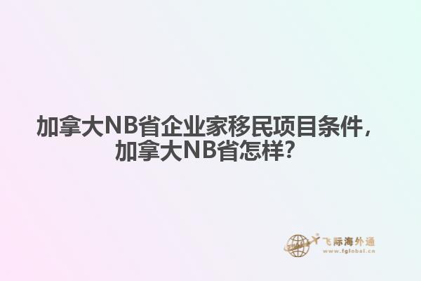 加拿大NB省企業(yè)家移民項(xiàng)目條件，加拿大NB省怎樣？