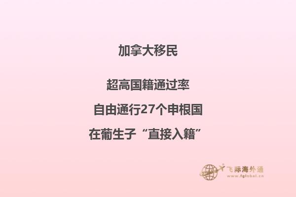 藝術(shù)生怎么申請加拿大留學