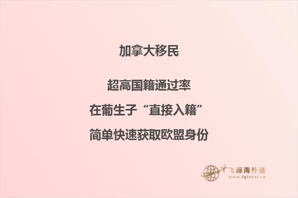 加拿大投資移民大盤點，你最中意哪個？