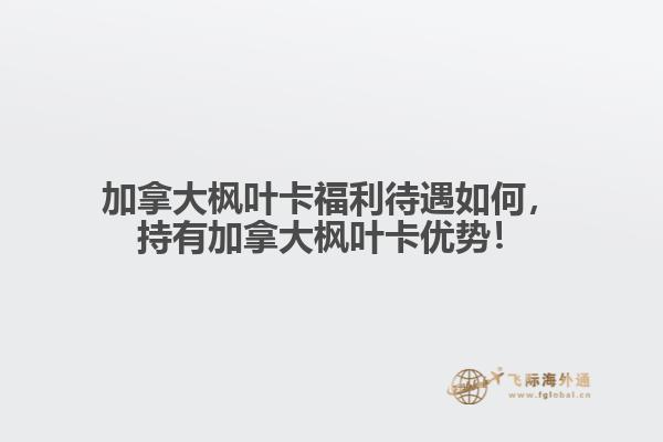 加拿大楓葉卡福利待遇如何，持有加拿大楓葉卡優(yōu)勢(shì)！