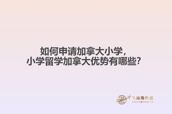 如何申請(qǐng)加拿大小學(xué)，小學(xué)留學(xué)加拿大優(yōu)勢(shì)有哪些？