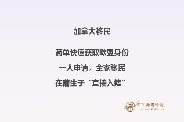 技術(shù)移民加拿大容易嗎，加拿大技術(shù)移民條件如何？