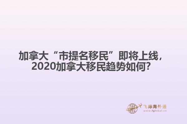 加拿大“市提名移民”即將上線，2020加拿大移民趨勢如何？
