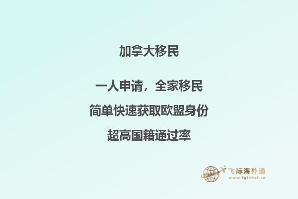 建筑城堡被樹(shù)林環(huán)繞