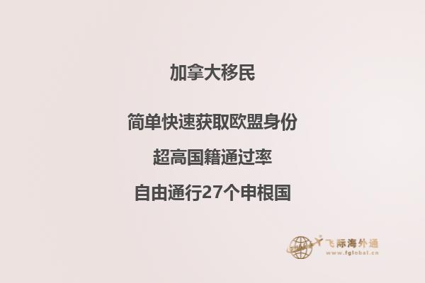 噴泉花園旁的樹(shù)木和建筑