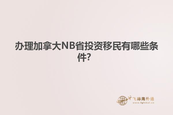 辦理加拿大NB省投資移民有哪些條件？