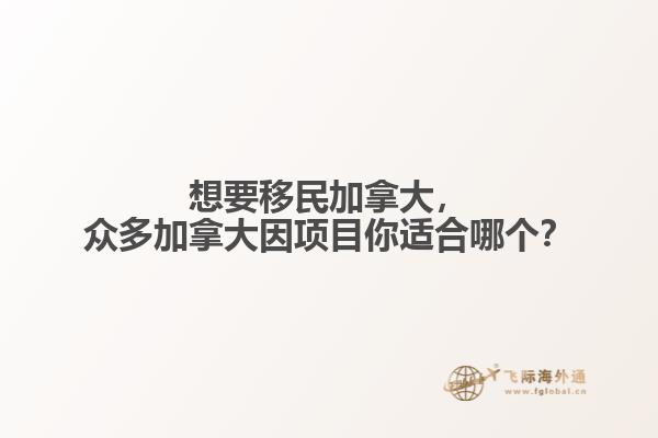 想要移民加拿大，眾多加拿大因項目你適合哪個？