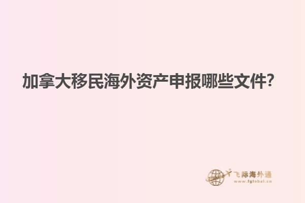 加拿大移民海外資產申報哪些文件？