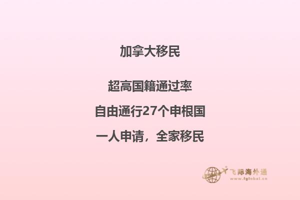 接到移民局背調電話怎么辦，如何輕松應對移民局電話調查
