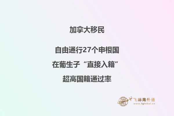 加拿大移民流程是怎么樣的？詳細(xì)流程分享！2.jpg