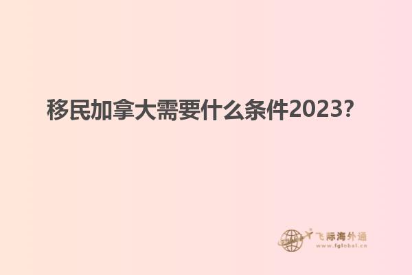 移民加拿大需要什么條件2023？