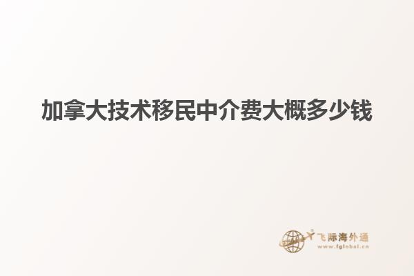 加拿大技術(shù)移民中介費大概多少錢