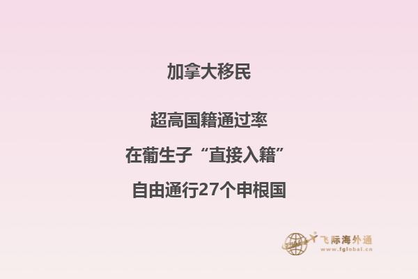 加拿大有哪些主流移民項目？