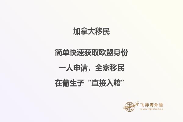 加拿大SUV移民條件，暢享加國自由與豪華！