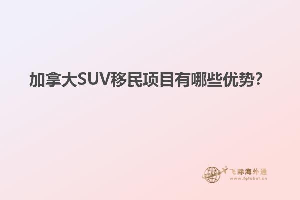 加拿大SUV移民項目有哪些優(yōu)勢？