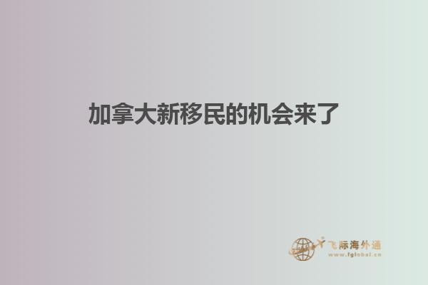 加拿大新移民的機會來了