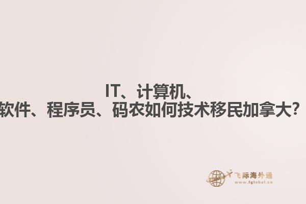 IT、計(jì)算機(jī)、軟件、程序員、碼農(nóng)如何技術(shù)移民加拿大？