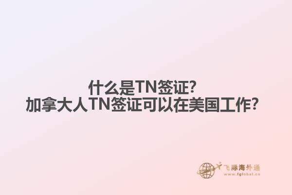 什么是TN簽證？加拿大人TN簽證可以在美國工作？1.jpg