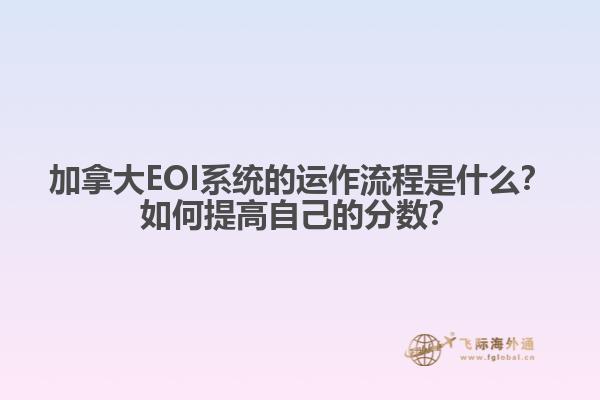 加拿大EOI系統(tǒng)的運作流程是什么？如何提高自己的分數(shù)？