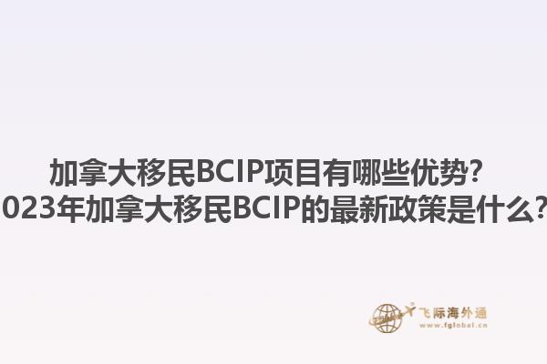 加拿大移民BCIP項(xiàng)目有哪些優(yōu)勢(shì)？2023年加拿大移民BCIP的最新政策是什么？1.jpg