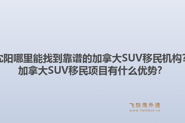 沈陽哪里能找到靠譜的加拿大SUV移民機構(gòu)？加拿大SUV移民項目有什么優(yōu)勢？1.jpg