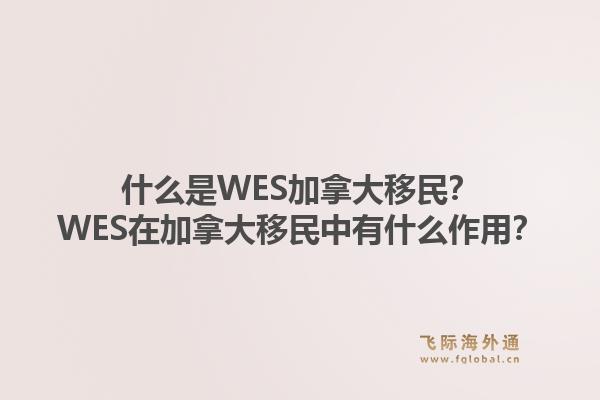 什么是WES加拿大移民？WES在加拿大移民中有什么作用？1.jpg