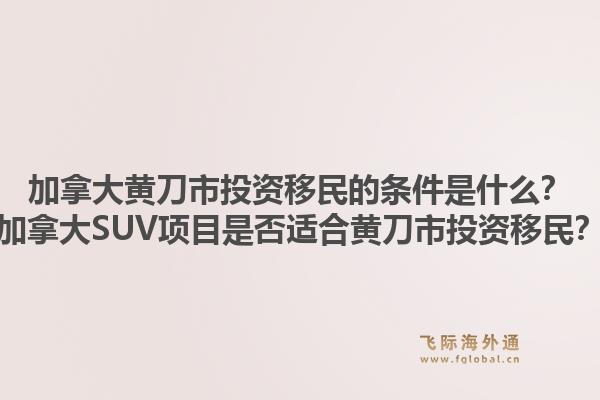 加拿大黃刀市投資移民的條件是什么？加拿大SUV項(xiàng)目是否適合黃刀市投資移民？