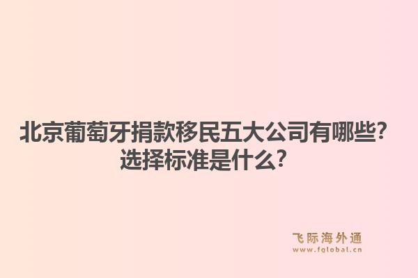 北京葡萄牙捐款移民五大公司有哪些？選擇標準是什么？