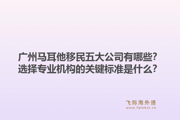 廣州馬耳他移民五大公司有哪些？選擇專業(yè)機構(gòu)的關(guān)鍵標準是什么？