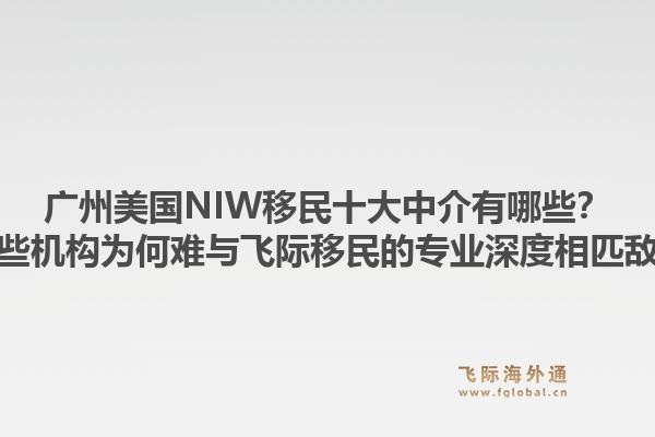 廣州美國NIW移民十大中介有哪些？這些機構(gòu)為何難與飛際移民的專業(yè)深度相匹敵？