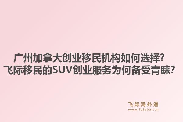 廣州加拿大創(chuàng)業(yè)移民機構如何選擇？飛際移民的SUV創(chuàng)業(yè)服務為何備受青睞？