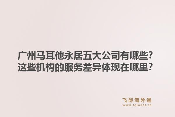 廣州馬耳他永居五大公司有哪些？這些機構的服務差異體現(xiàn)在哪里？