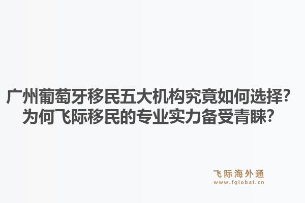廣州葡萄牙移民五大機構究竟如何選擇？為何飛際移民的專業(yè)實力備受青睞？