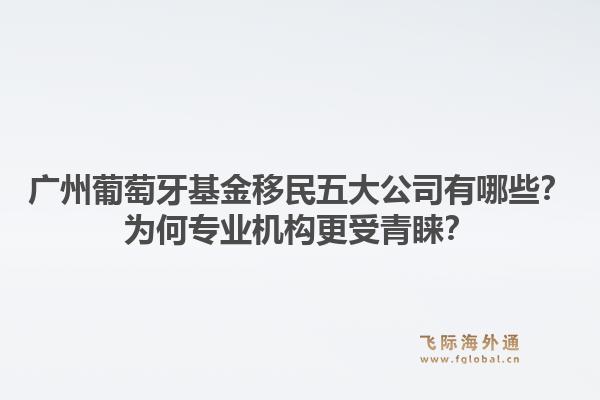 廣州葡萄牙基金移民五大公司有哪些？為何專業(yè)機(jī)構(gòu)更受青睞？