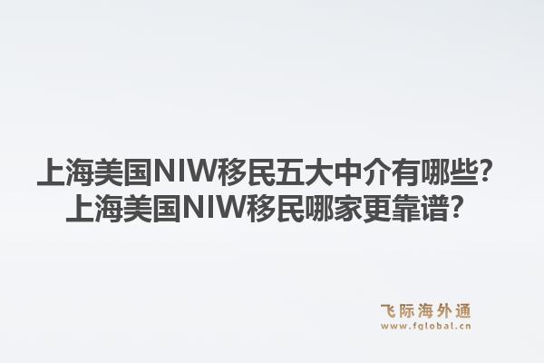 上海美國NIW移民五大中介有哪些？上海美國NIW移民哪家更靠譜？