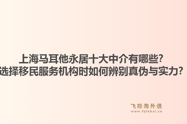 上海馬耳他永居十大中介有哪些？選擇移民服務機構(gòu)時如何辨別真?zhèn)闻c實力？