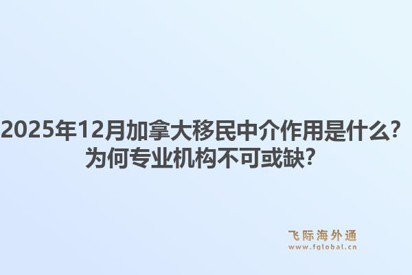 2025年12月加拿大移民中介作用是什么？為何專業(yè)機構(gòu)不可或缺？1.jpg