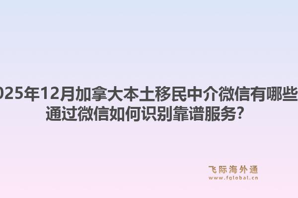 2025年12月加拿大本土移民中介微信有哪些？通過(guò)微信如何識(shí)別靠譜服務(wù)？1.jpg