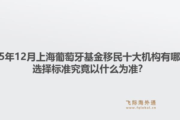 2025年12月上海葡萄牙基金移民十大機(jī)構(gòu)有哪些？選擇標(biāo)準(zhǔn)究竟以什么為準(zhǔn)？