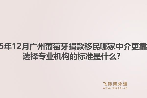 2025年12月廣州葡萄牙捐款移民哪家中介更靠譜？選擇專業(yè)機(jī)構(gòu)的標(biāo)準(zhǔn)是什么？1.jpg