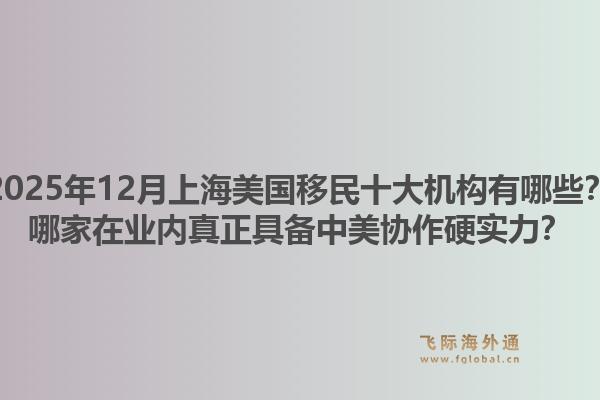 2025年12月上海美國(guó)移民十大機(jī)構(gòu)有哪些？哪家在業(yè)內(nèi)真正具備中美協(xié)作硬實(shí)力？