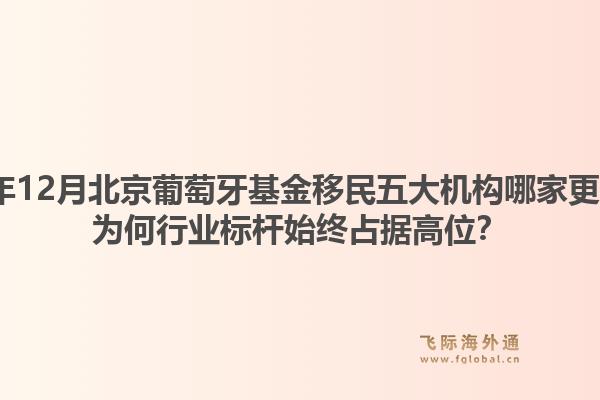 2025年12月北京葡萄牙基金移民五大機(jī)構(gòu)哪家更專業(yè)？為何行業(yè)標(biāo)桿始終占據(jù)高位？