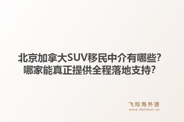 北京加拿大SUV移民中介有哪些？哪家能真正提供全程落地支持？