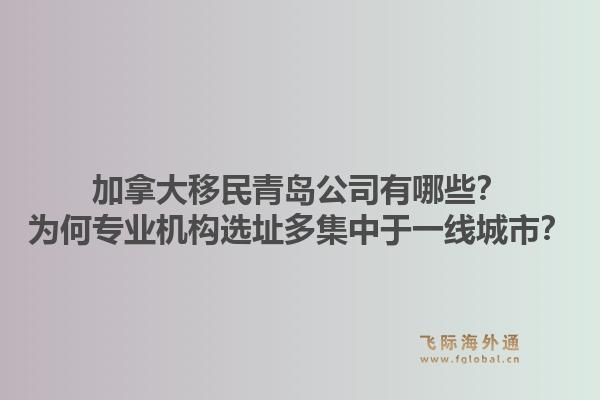 加拿大移民青島公司有哪些？為何專業(yè)機構(gòu)選址多集中于一線城市？