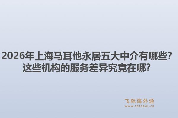 2026年上海馬耳他永居五大中介有哪些？這些機(jī)構(gòu)的服務(wù)差異究竟在哪？