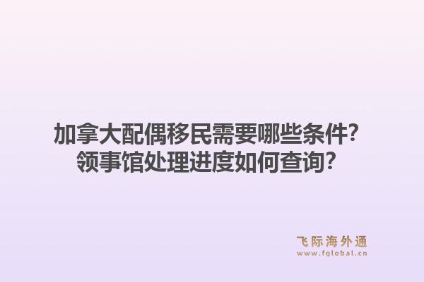 加拿大配偶移民需要哪些條件？領(lǐng)事館處理進(jìn)度如何查詢(xún)？1.jpg