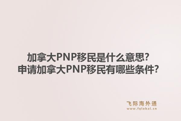 加拿大PNP移民是什么意思？申請(qǐng)加拿大PNP移民有哪些條件？1.jpg